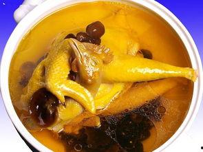 娱乐吃瓜酱鸡汤视频播放