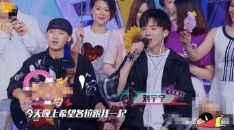 网红 综艺,娱乐与社交的完美融合